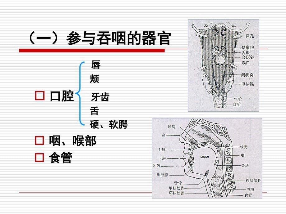 第七章-吞咽障碍课件_第5页