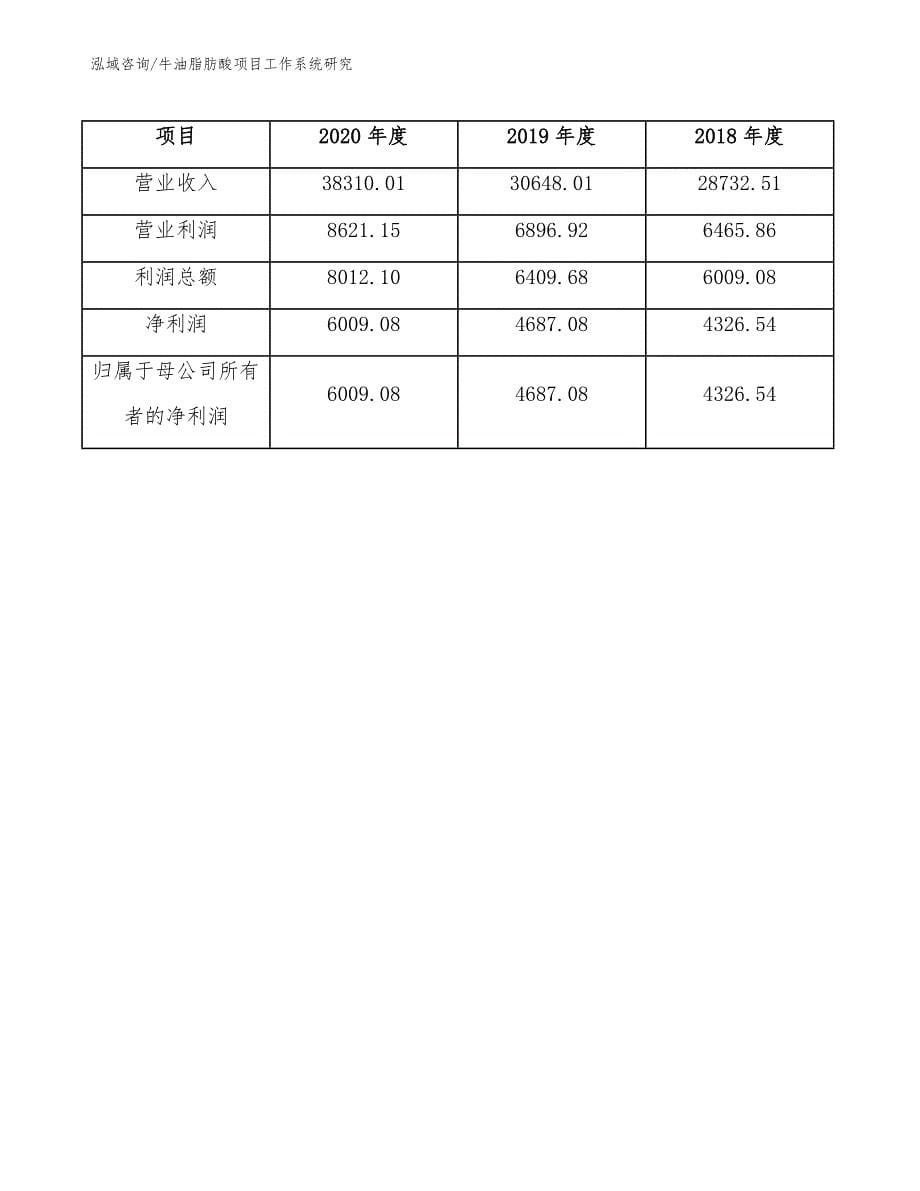 牛油脂肪酸项目工作系统研究（参考）_第5页