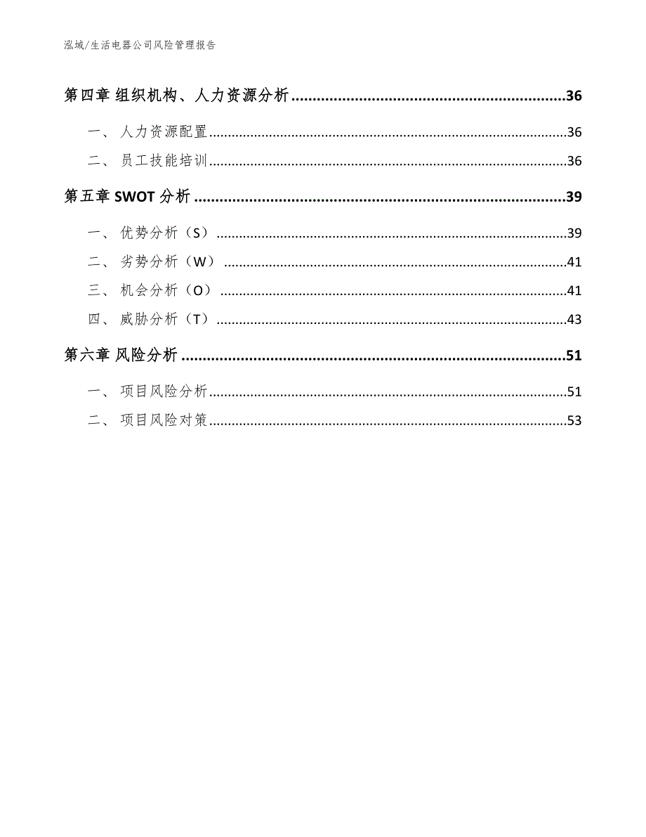 生活电器公司风险管理报告_第2页