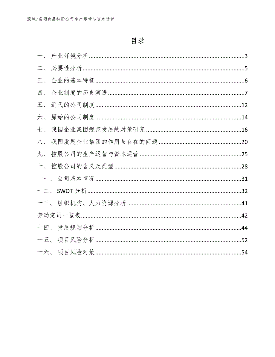 富硒食品控股公司生产运营与资本运营_第2页