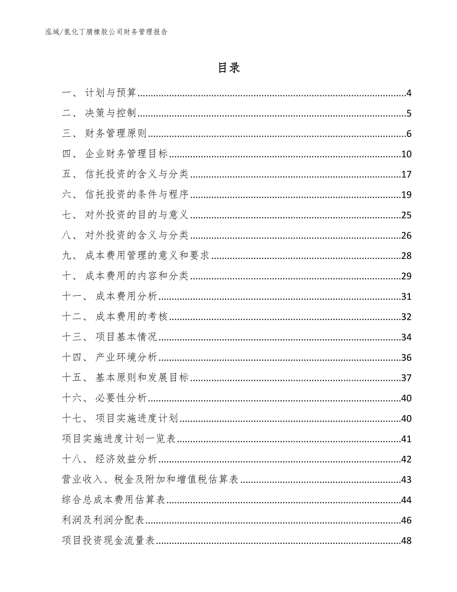 氢化丁腈橡胶公司财务管理报告（参考）_第2页