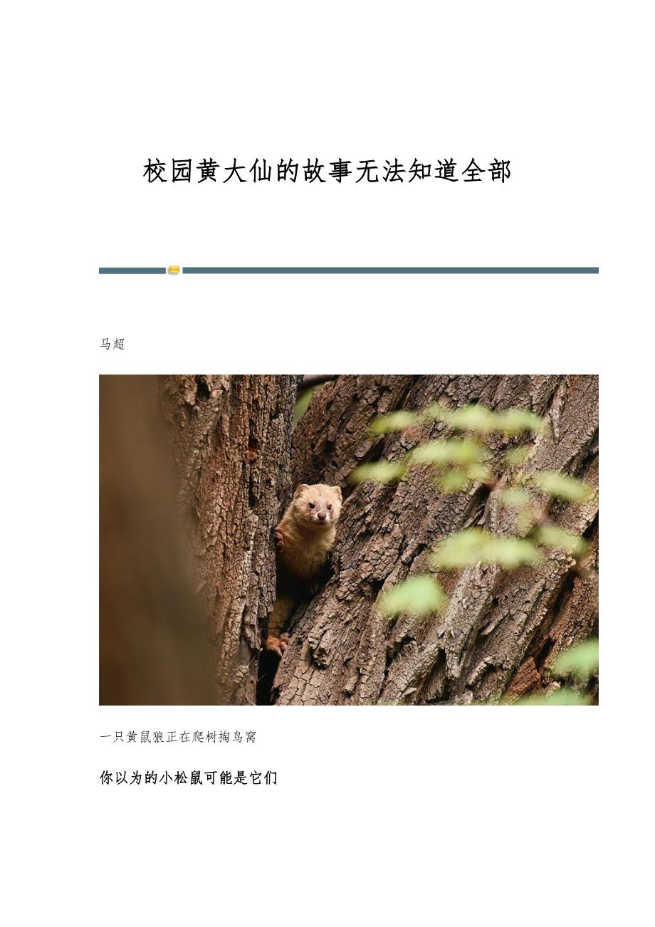 校园黄大仙的故事无法知道全部_第1页