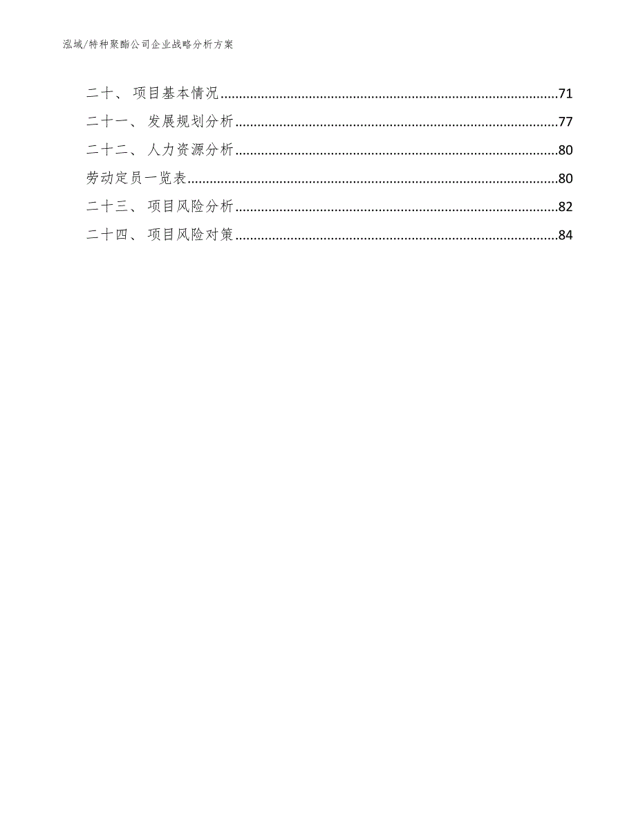 特种聚酯公司企业战略分析方案_第2页