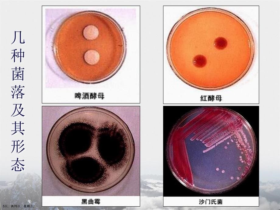 九组微生物的实验室培养详解演示文稿_第5页