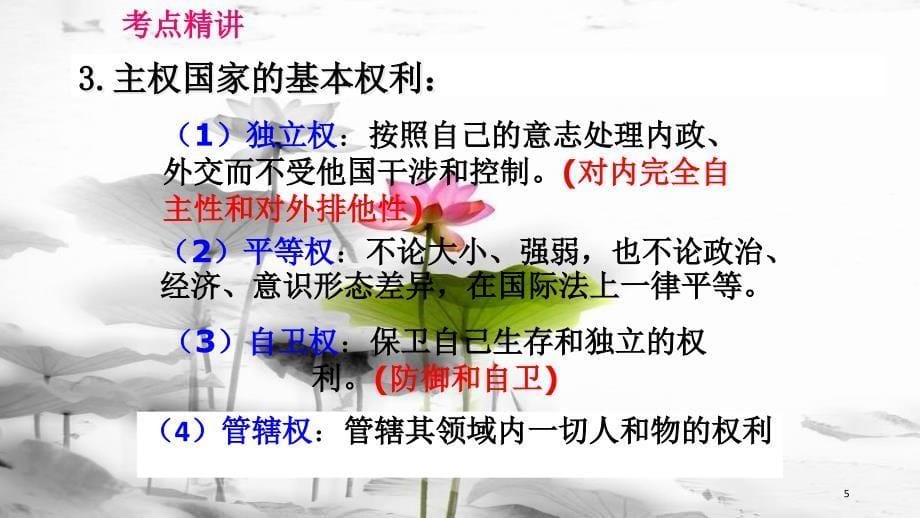 高考政治第八单元当代国际社会课时1走进国际社会核心考点一国际社会的成员课件新人教版必修2_第5页