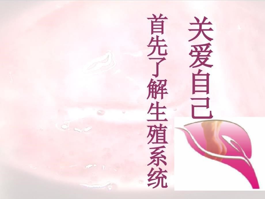 女性生殖健康PPT课件_第5页