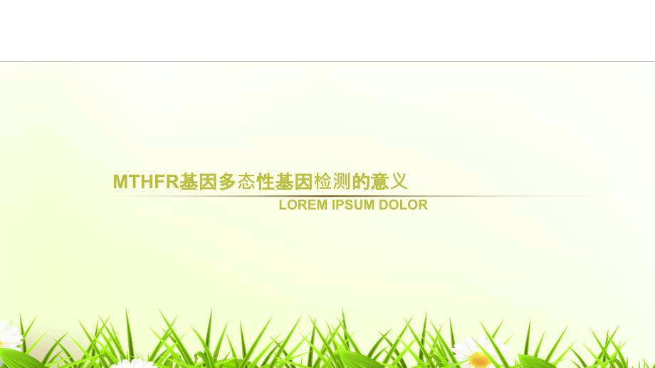 MTHFR基因多态性_第1页