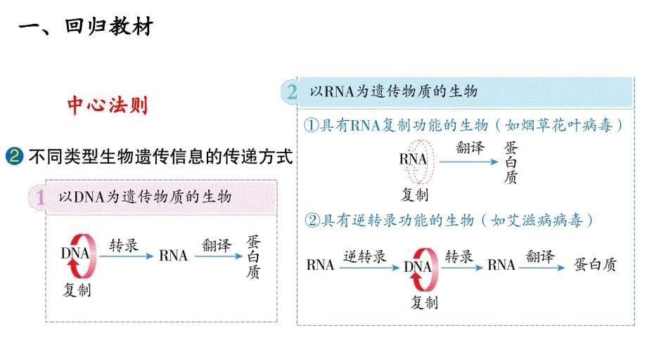 2022届高三一轮复习生物：高考热点一：新冠病毒疫苗及PCR课件_第5页