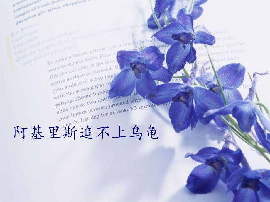 芝诺悖论阿基里斯追不上乌龟_第1页