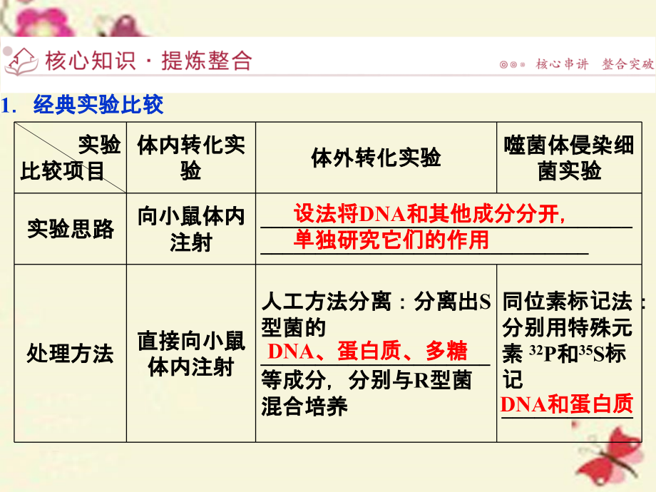 优化方案浙江专用高考生物二轮复习专题四遗传变异和进化第1讲遗传的物质基次件_第4页