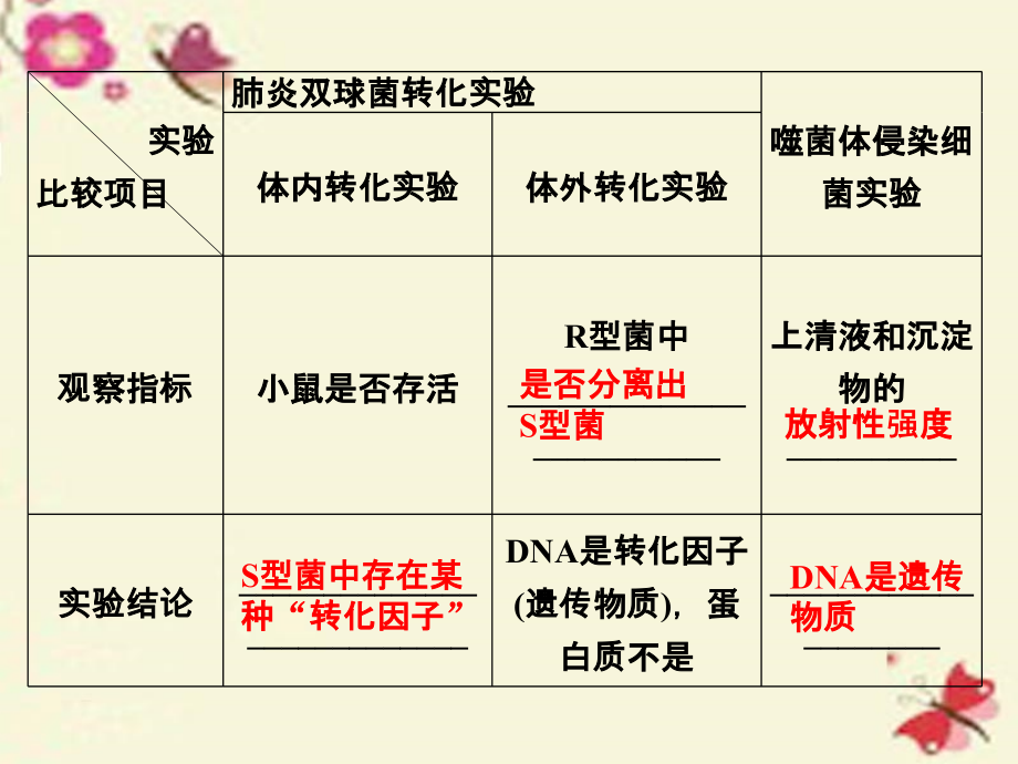 优化方案浙江专用高考生物二轮复习专题四遗传变异和进化第1讲遗传的物质基次件_第5页