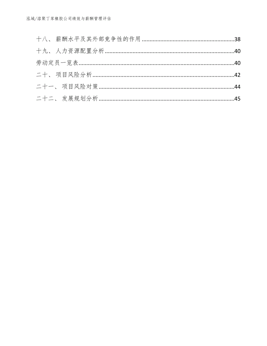 溶聚丁苯橡胶公司绩效与薪酬管理评估_第2页