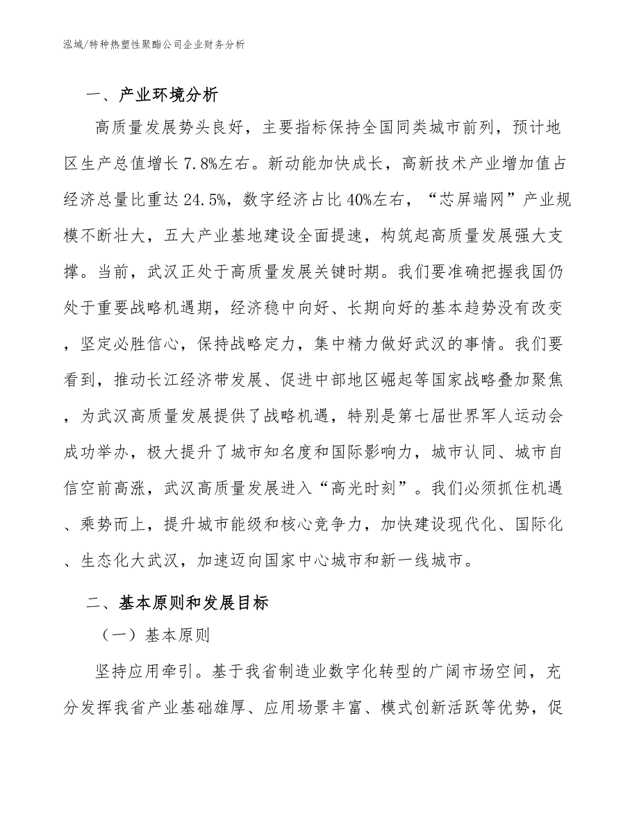 特种热塑性聚酯公司企业财务分析_参考_第3页