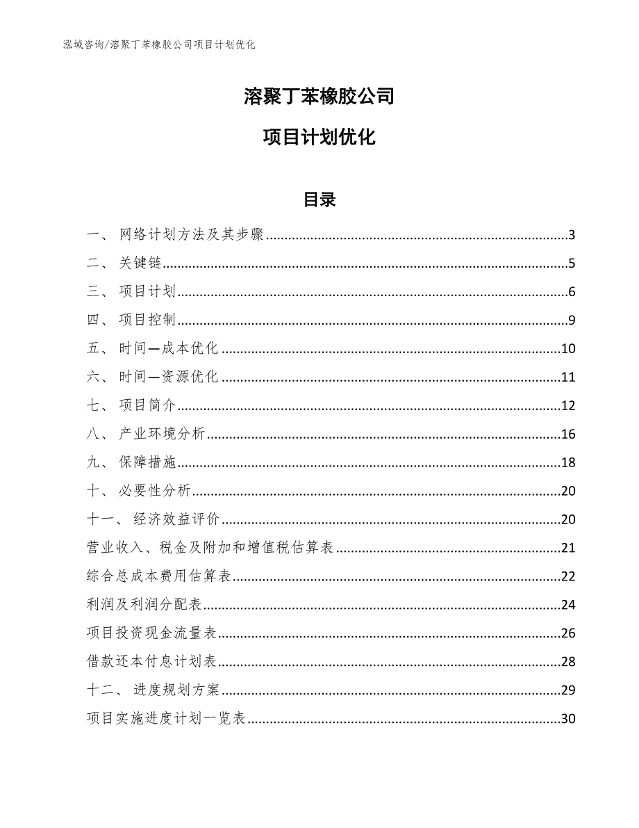 溶聚丁苯橡胶公司项目计划优化【范文】_第1页