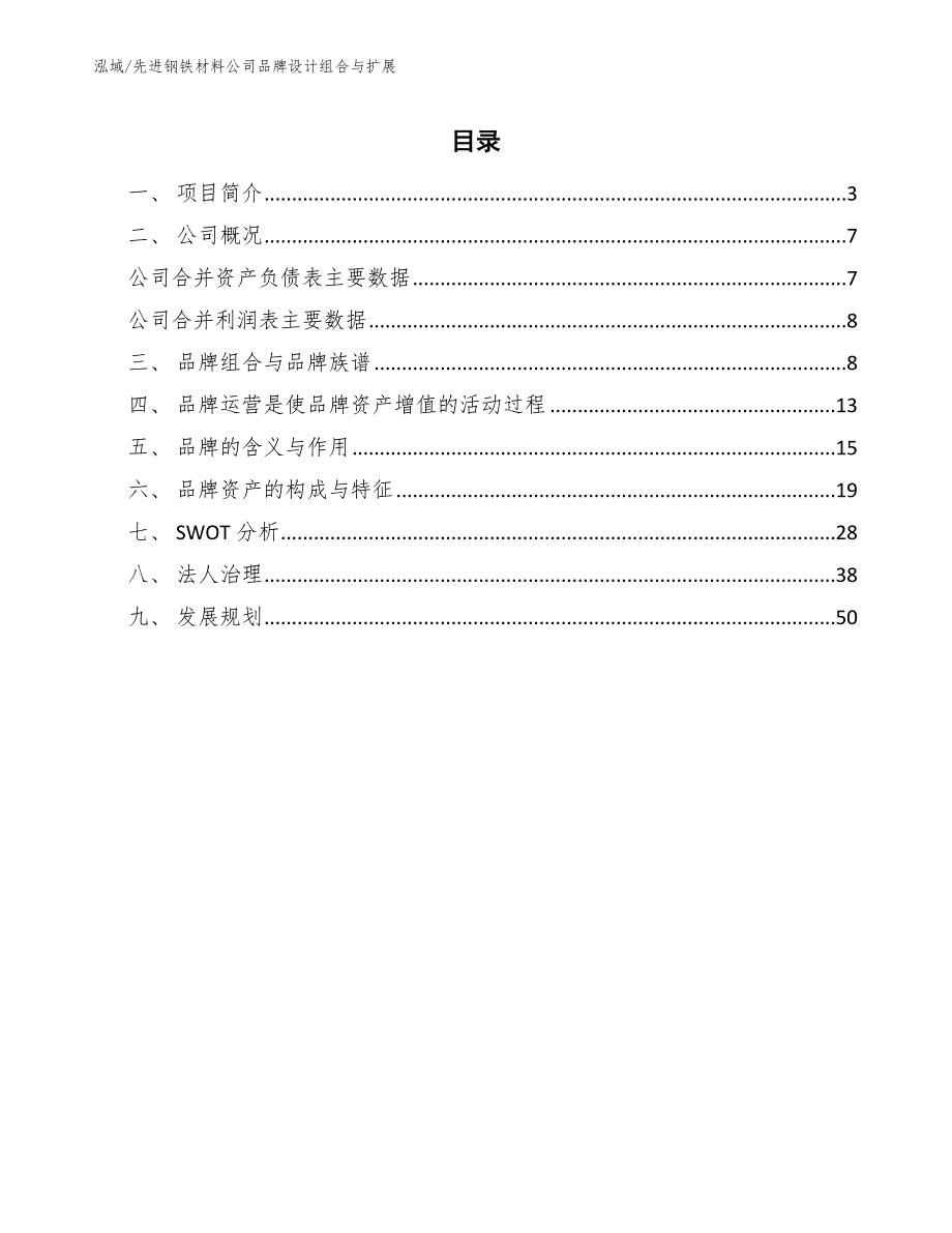 先进钢铁材料公司品牌设计组合与扩展（范文）_第2页