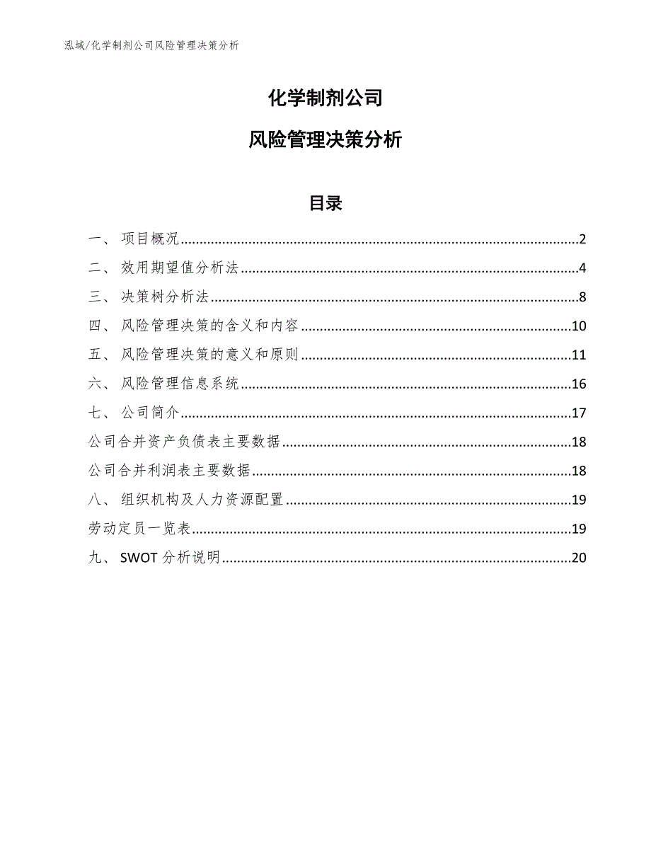 化学制剂公司风险管理决策分析_第1页