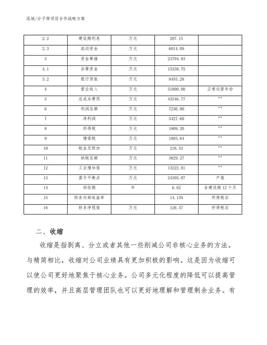 分子筛项目合作战略方案_第5页