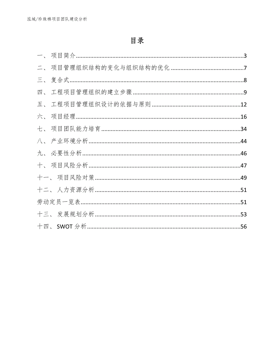 珍珠棉项目团队建设分析【范文】_第2页