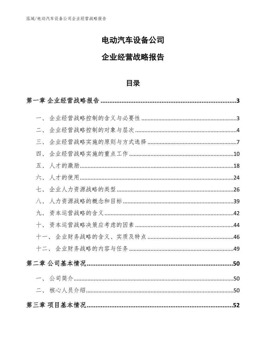 电动汽车设备公司企业经营战略报告_范文_第1页