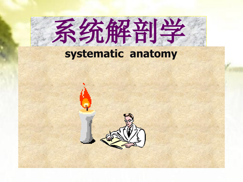 系统解剖学（全套ppt课件）_第1页