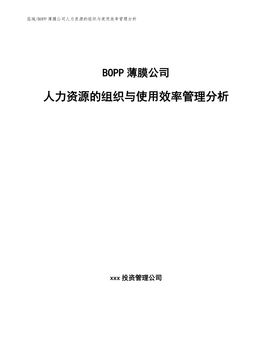 BOPP薄膜公司人力资源的组织与使用效率管理分析【范文】_第1页