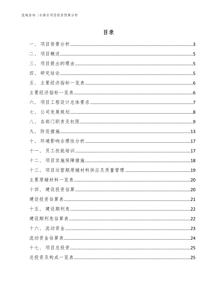 水镁石项目投资预算分析【模板】_第1页