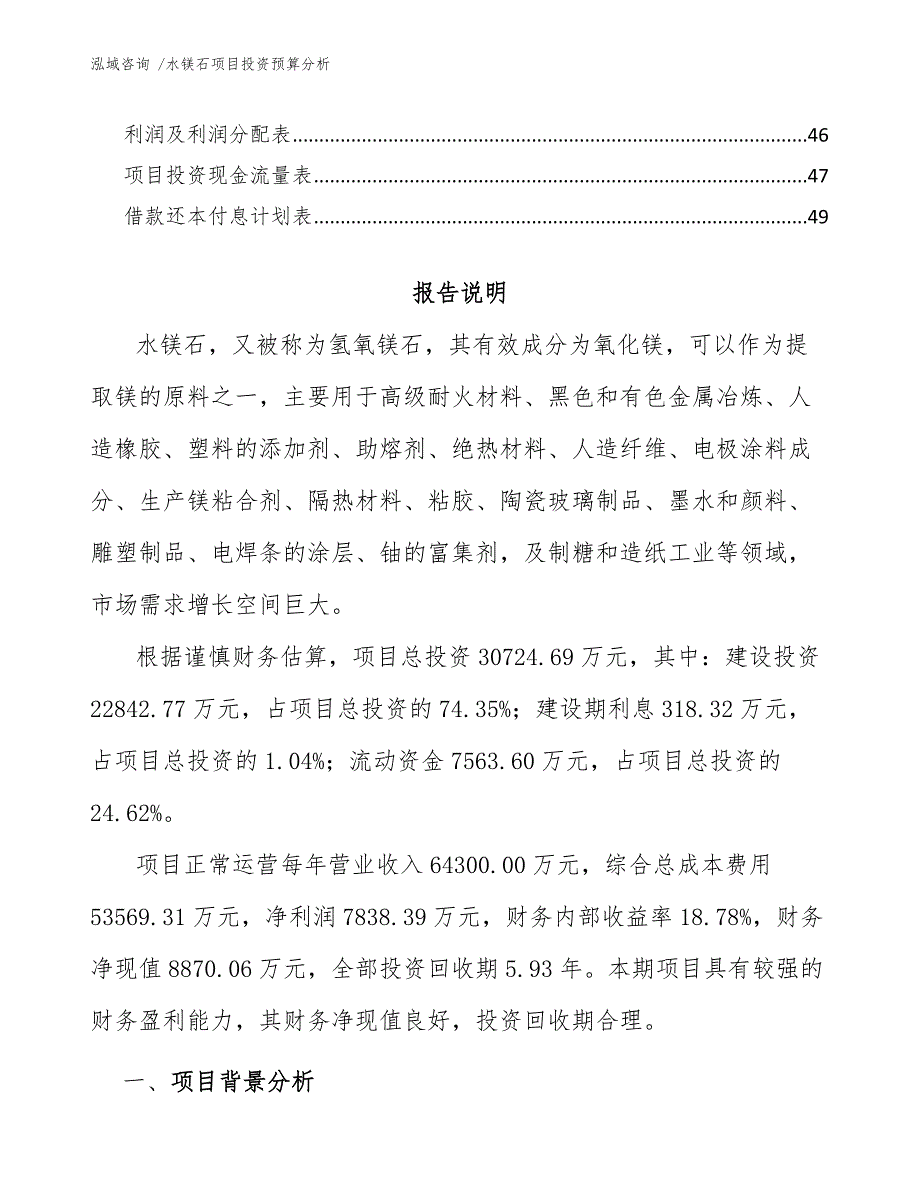 水镁石项目投资预算分析【模板】_第3页