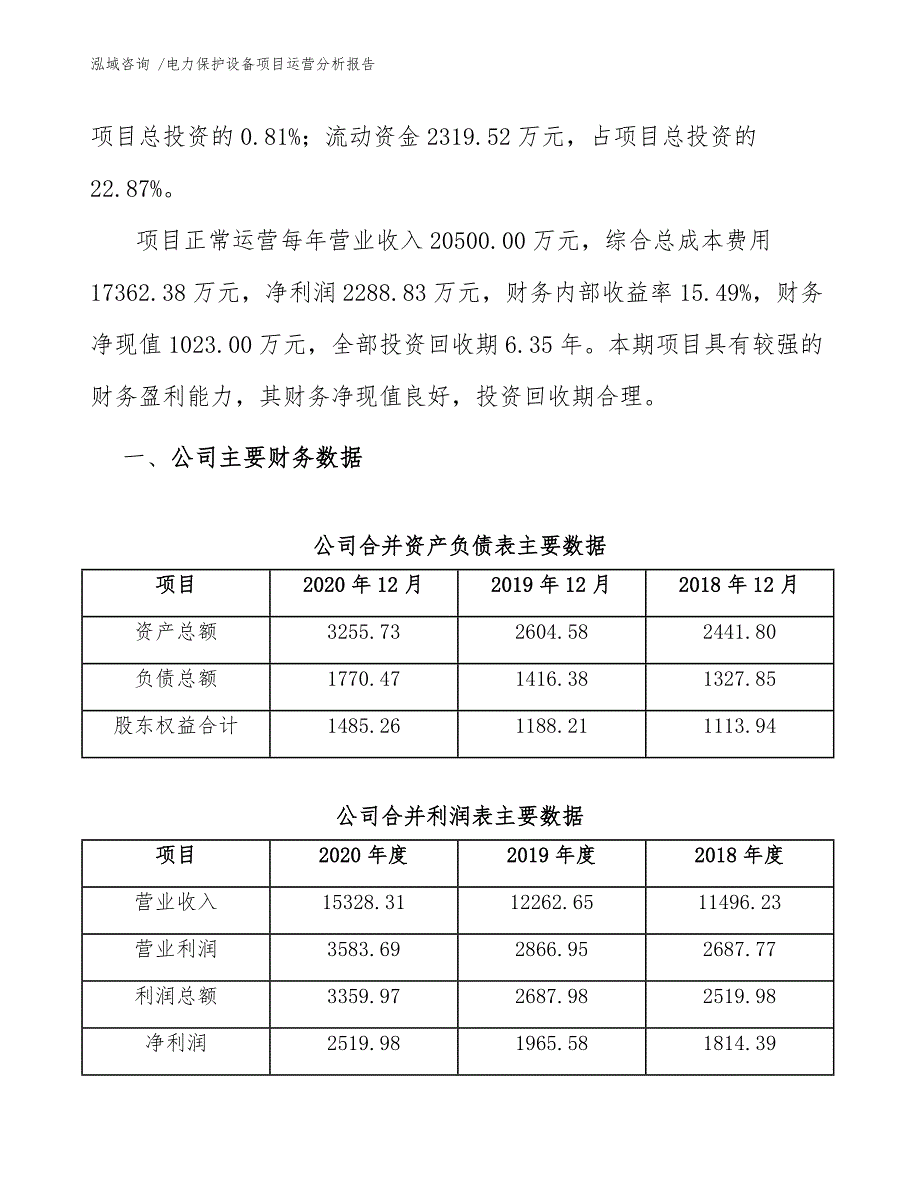 电力保护设备项目运营分析报告-范文_第4页