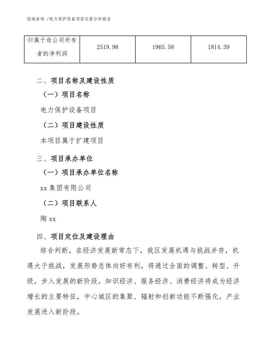 电力保护设备项目运营分析报告-范文_第5页