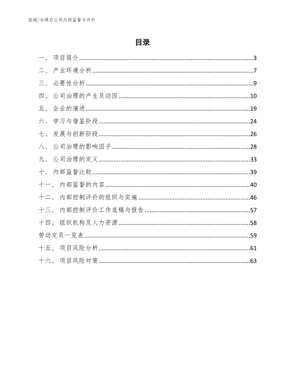 水镁石公司内部监督与评价（参考）_第2页