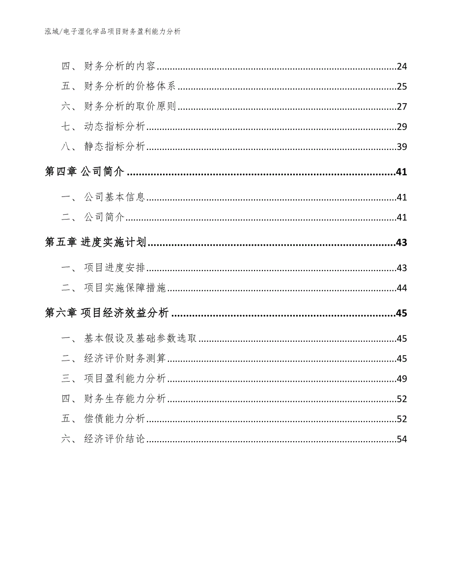 电子湿化学品项目财务盈利能力分析（参考）_第2页