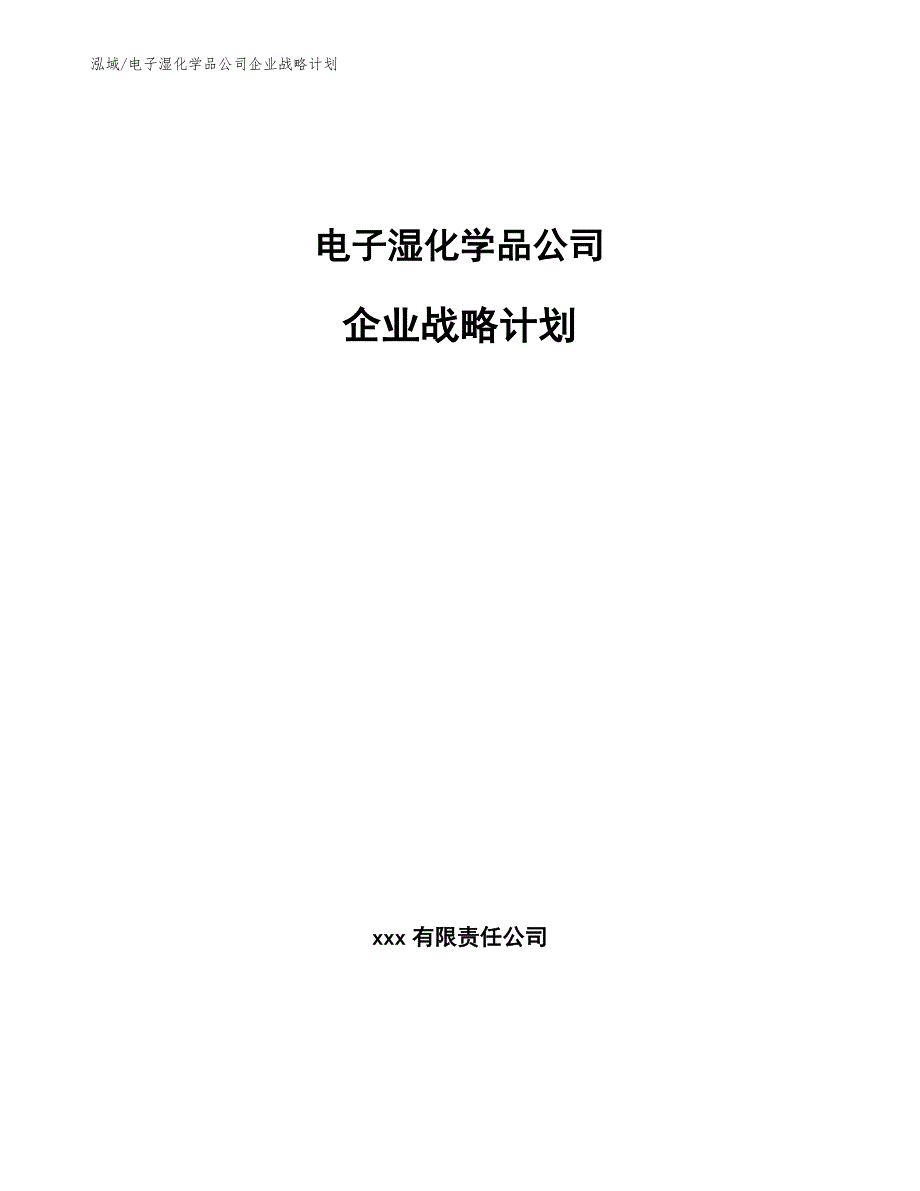 电子湿化学品公司企业战略计划_第1页