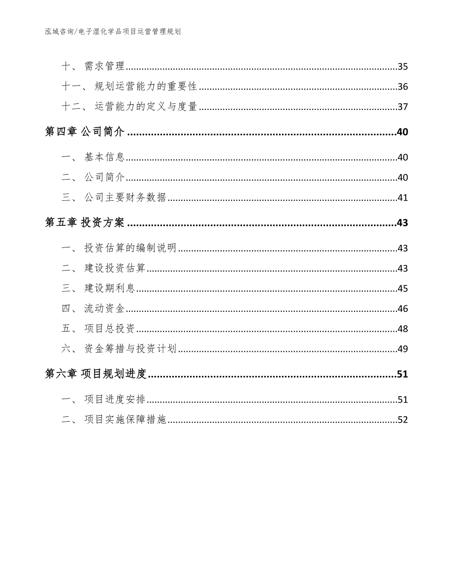 电子湿化学品项目运营管理规划（范文）_第2页