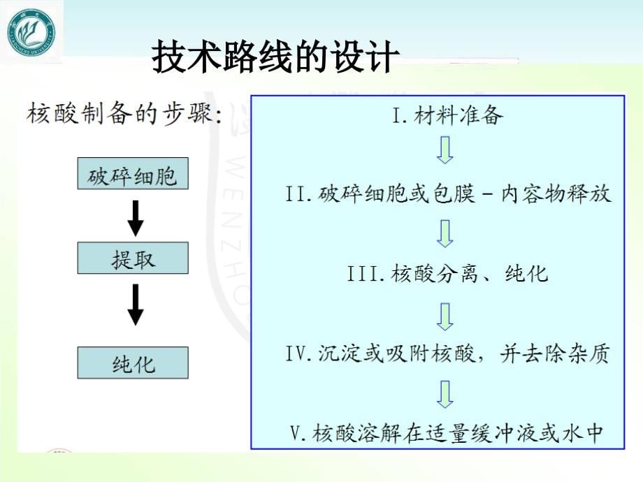 核酸检测技术课件_第5页