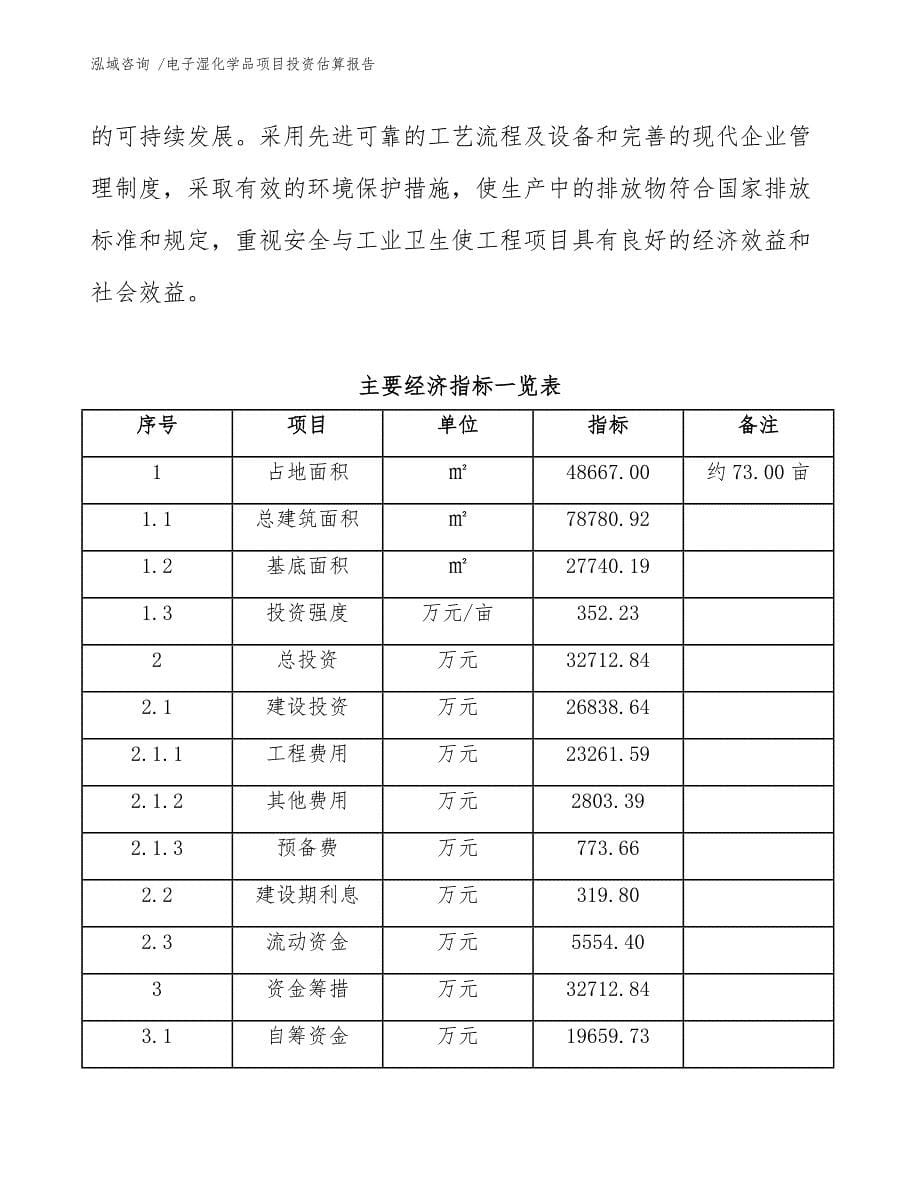 电子湿化学品项目投资估算报告-（模板）_第5页