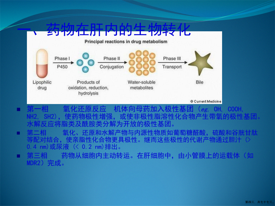 药物性肝病发病的机制和诊治详解_第4页