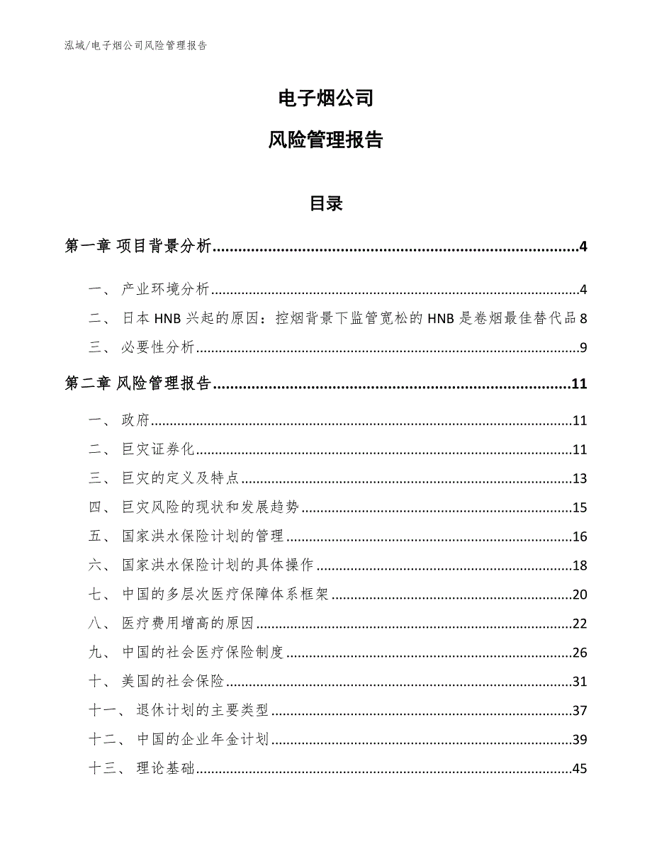 电子烟公司风险管理报告（参考）_第1页