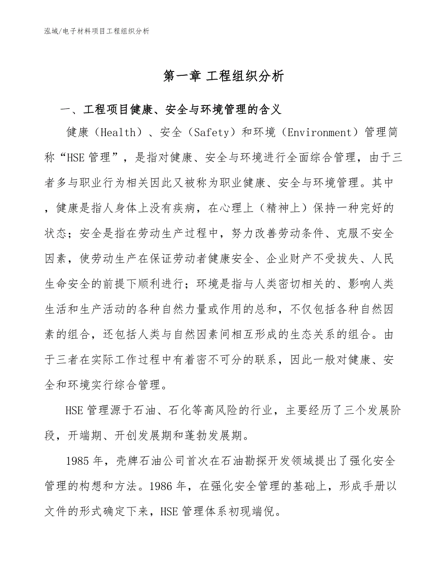 电子材料项目工程组织分析（范文）_第3页