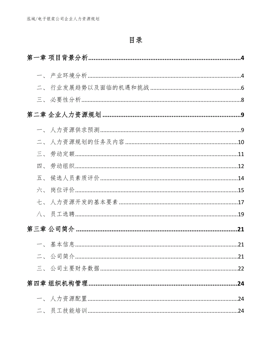 电子银浆公司企业人力资源规划_第2页