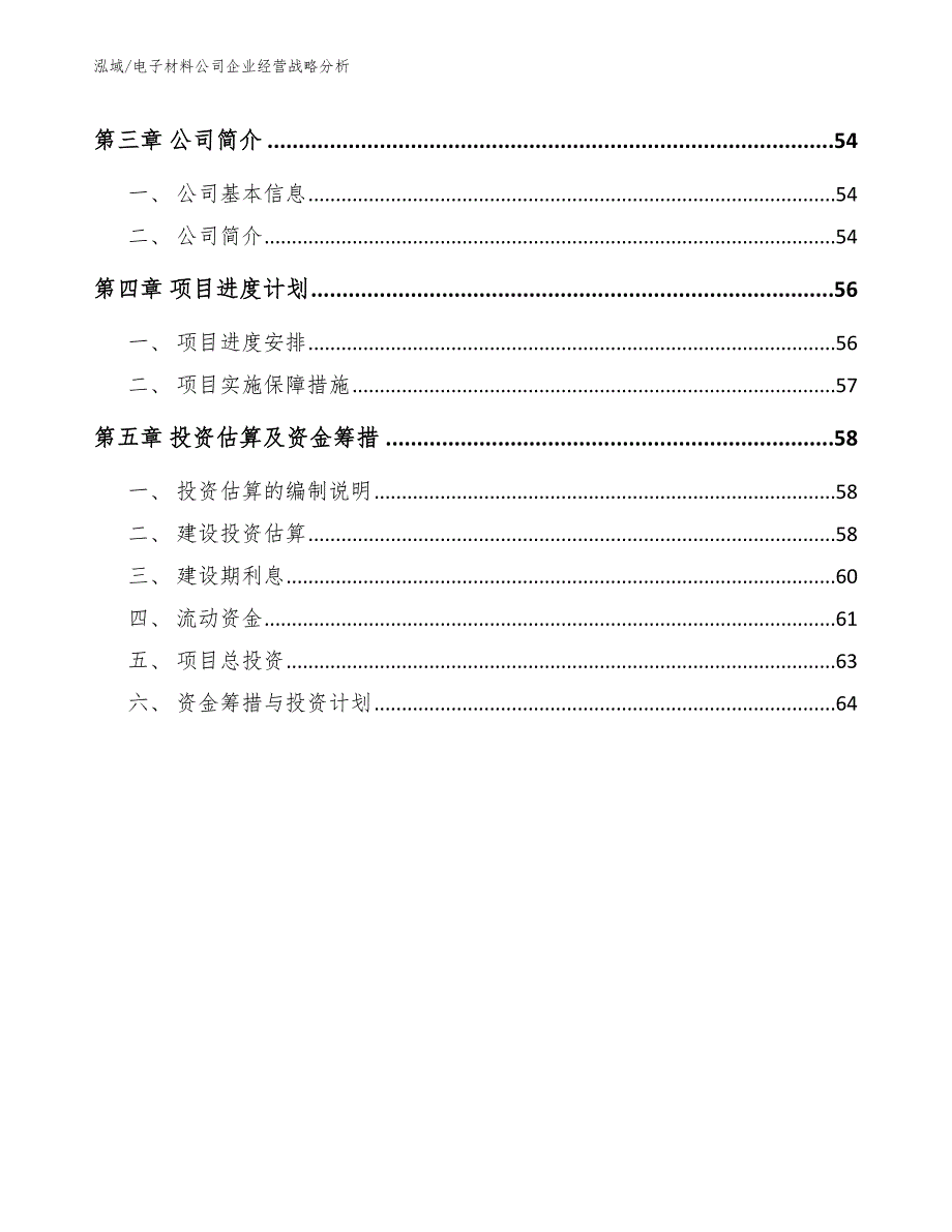 电子材料公司企业经营战略分析_第2页