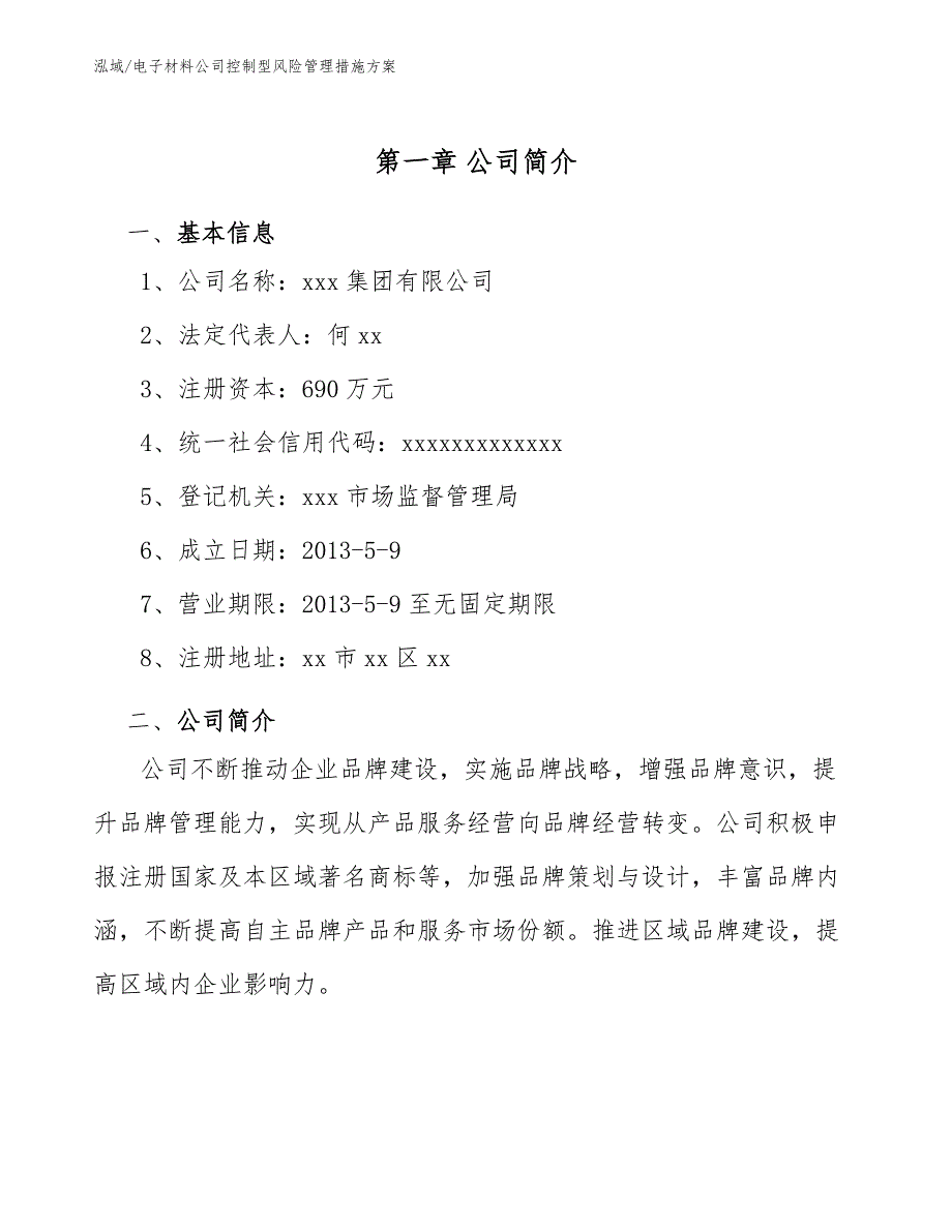 电子材料公司控制型风险管理措施方案（参考）_第3页