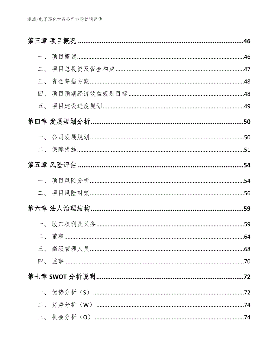 电子湿化学品公司市场营销评估（范文）_第2页