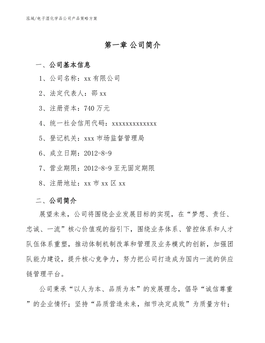 电子湿化学品公司产品策略方案_第4页