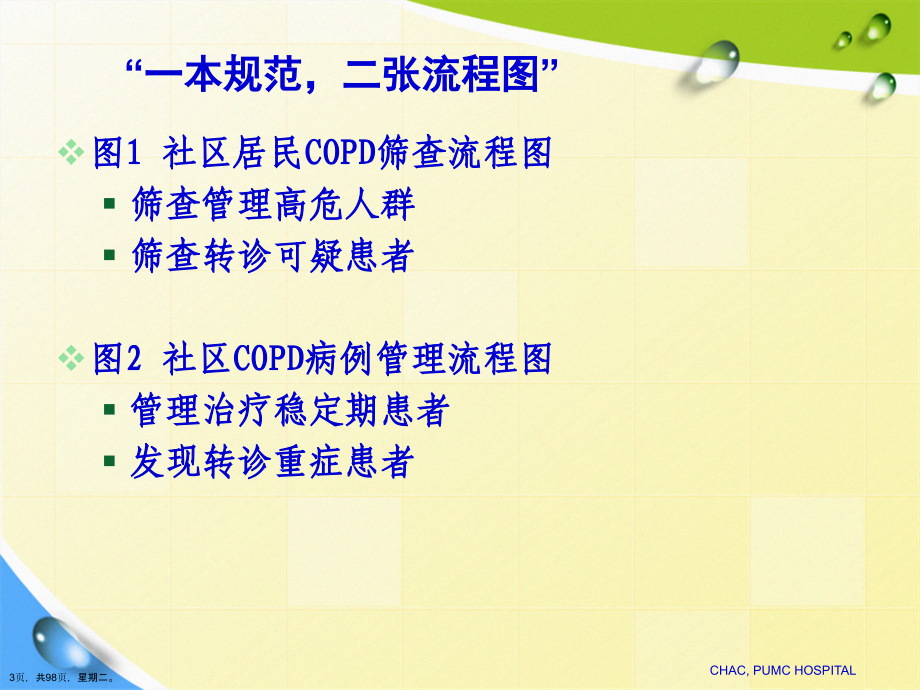 COPD慢性阻塞性肺病培训技术Ppt_第3页