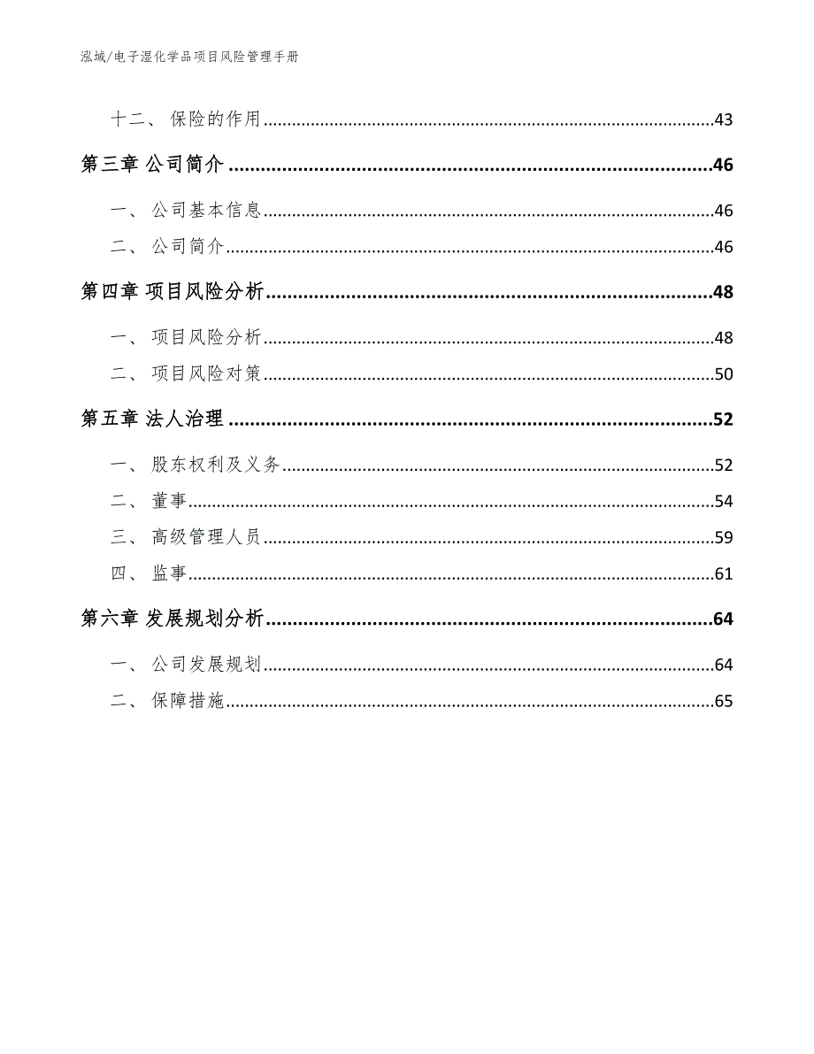 电子湿化学品项目风险管理手册【范文】_第3页