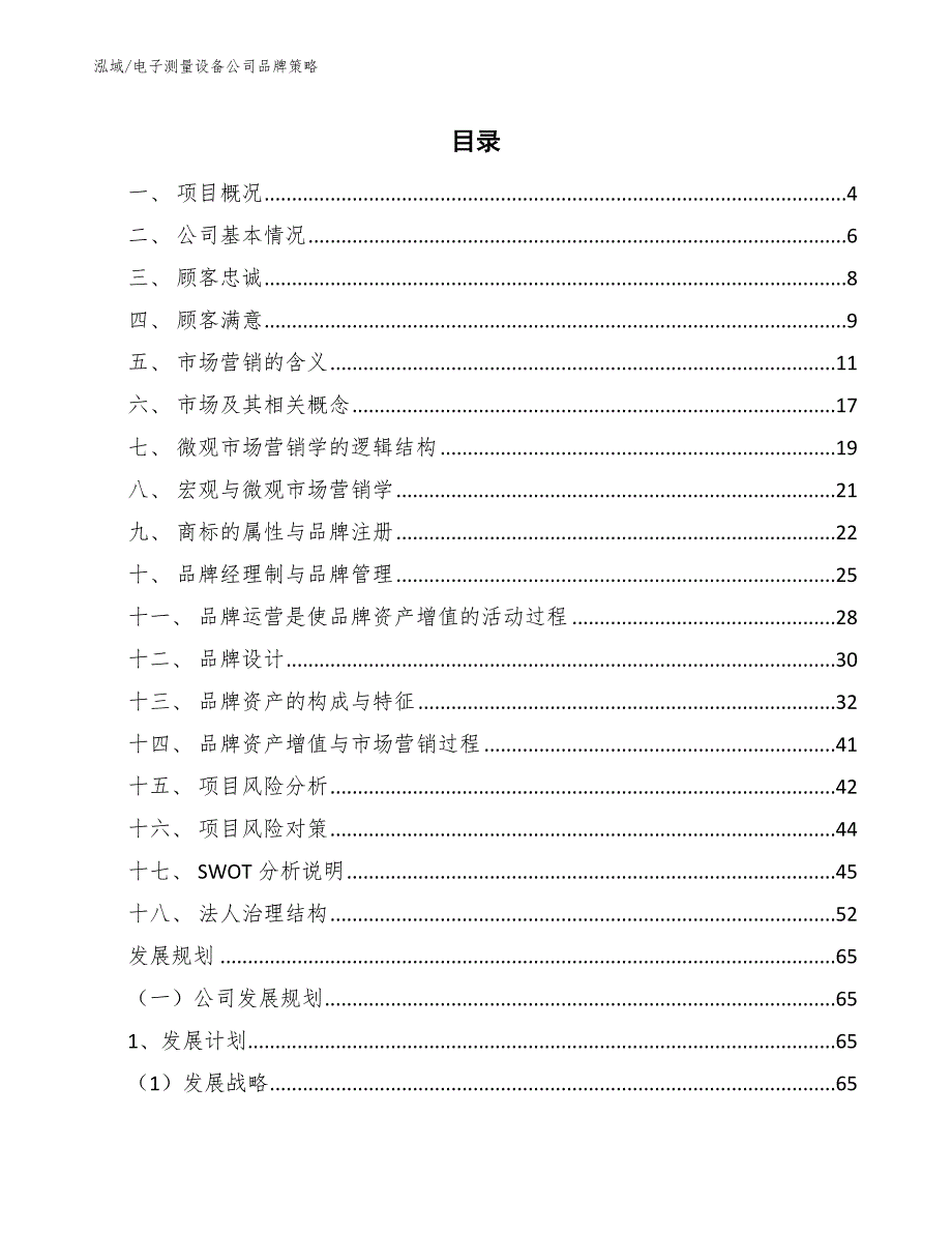 电子测量设备公司品牌策略【范文】_第2页