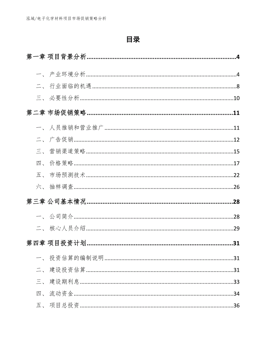 电子化学材料项目市场促销策略分析（参考）_第2页