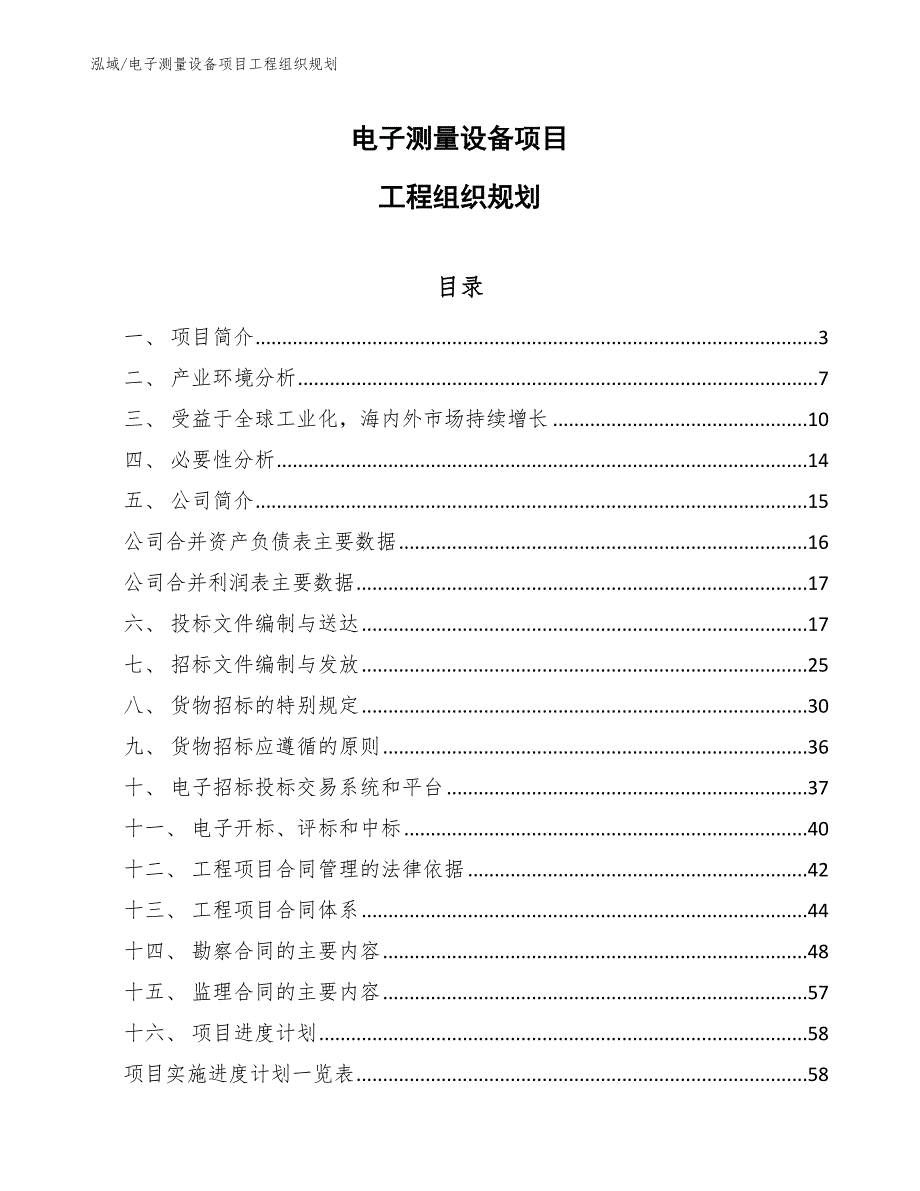 电子测量设备项目工程组织规划_第1页