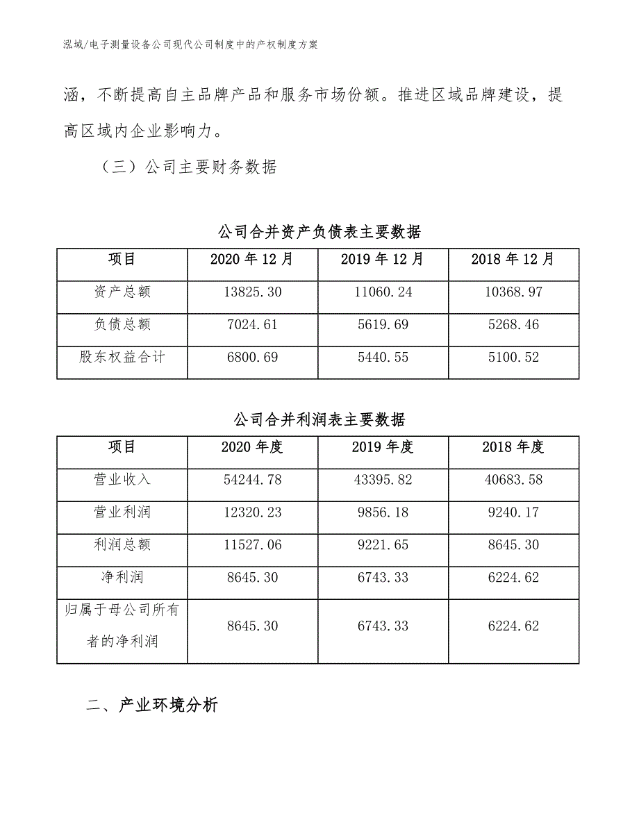 电子测量设备公司现代公司制度中的产权制度方案_第4页