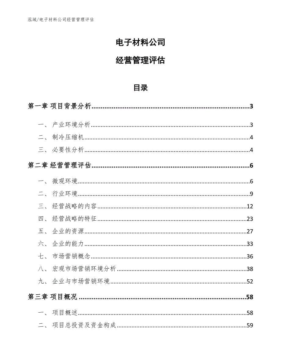 电子材料公司经营管理评估【参考】_第1页